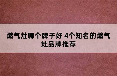 燃气灶哪个牌子好 4个知名的燃气灶品牌推荐